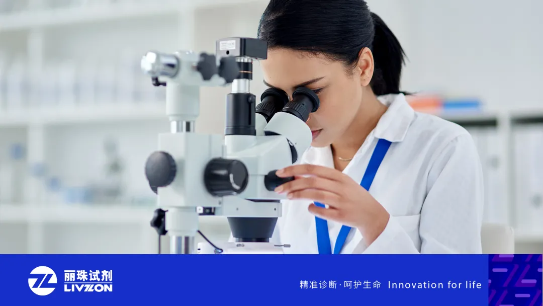 1636701467933421.png 形象圖多重.png