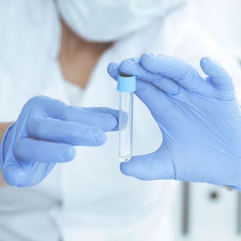 內標定量與外標定量的差異