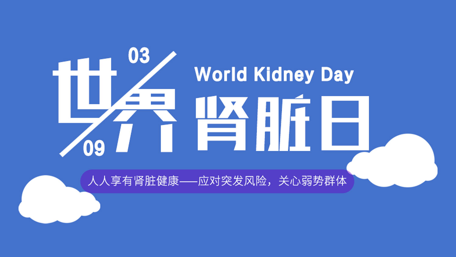 世界腎臟日丨“人人享有腎臟健康”，syva全力守護用藥安全