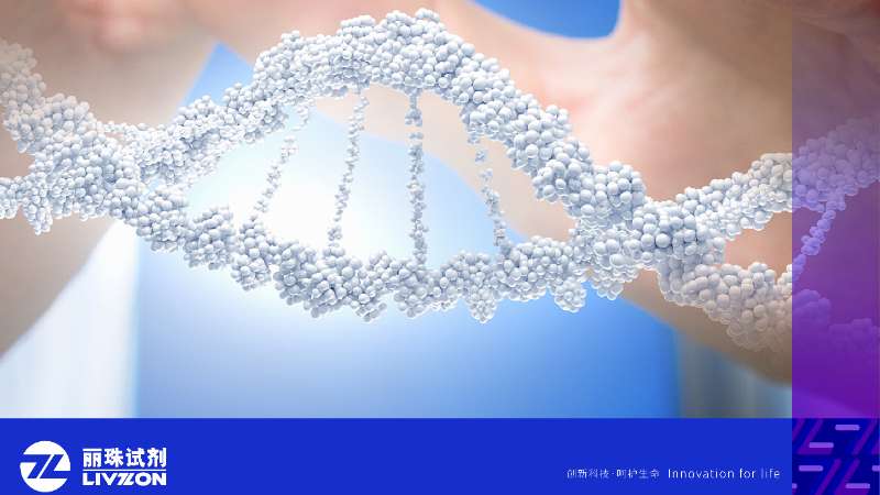 再獲認可丨麗珠試劑三款核酸檢測產品滿分通過國家室間質量評價