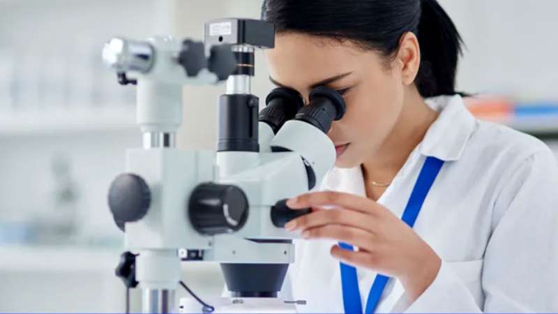 質量制勝丨麗珠試劑抗核抗體滿分通過NCCL室間質評！