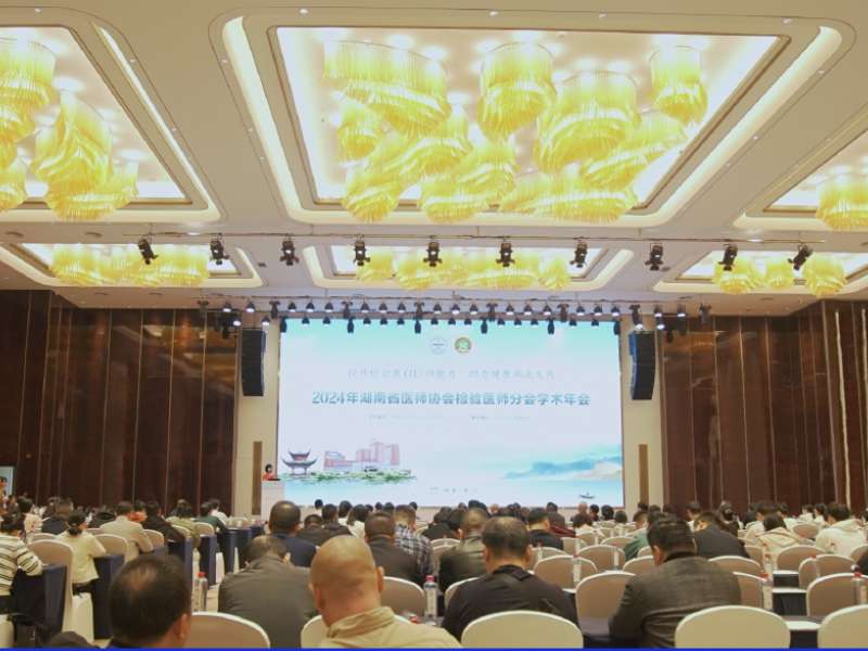 會議回顧丨精彩紛呈，麗珠試劑亮相2024年湖南省醫師協會檢驗醫師分會學術年會